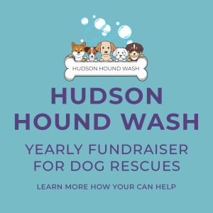 Angels-pet-world-hudson-hound-wash