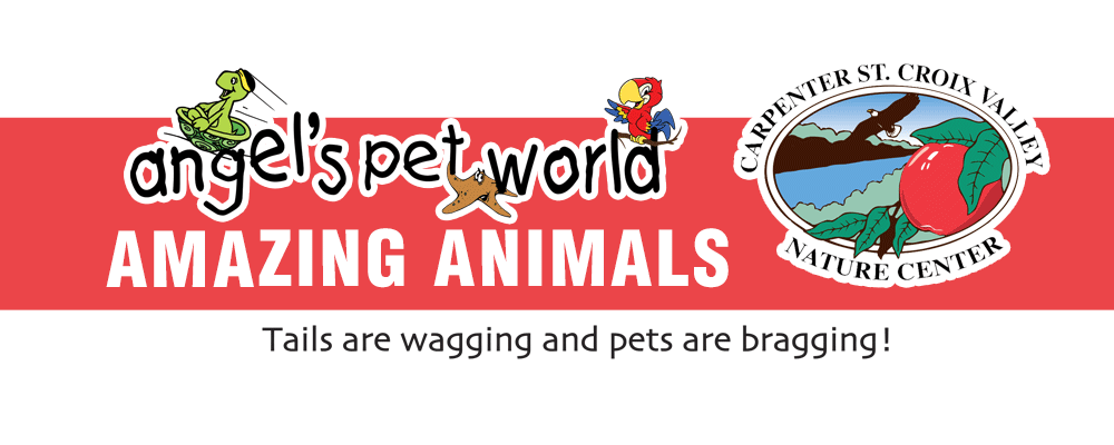 Amazing Animals Program Series - Birds