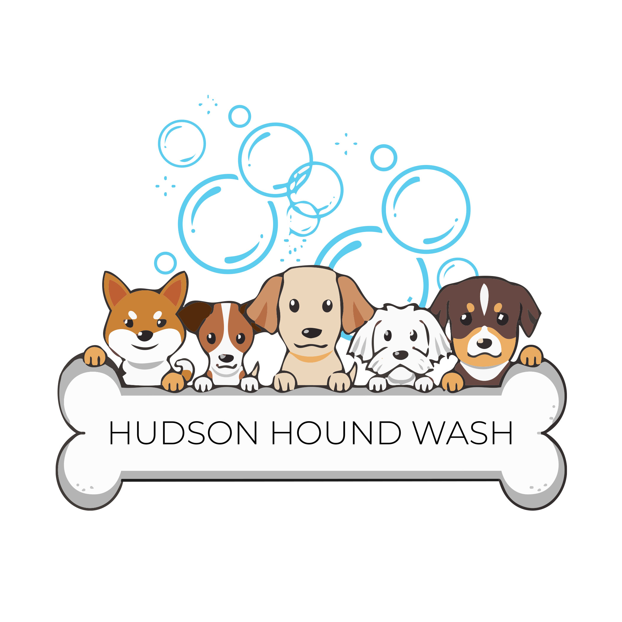 Hudson-Hound-Wash-Logo