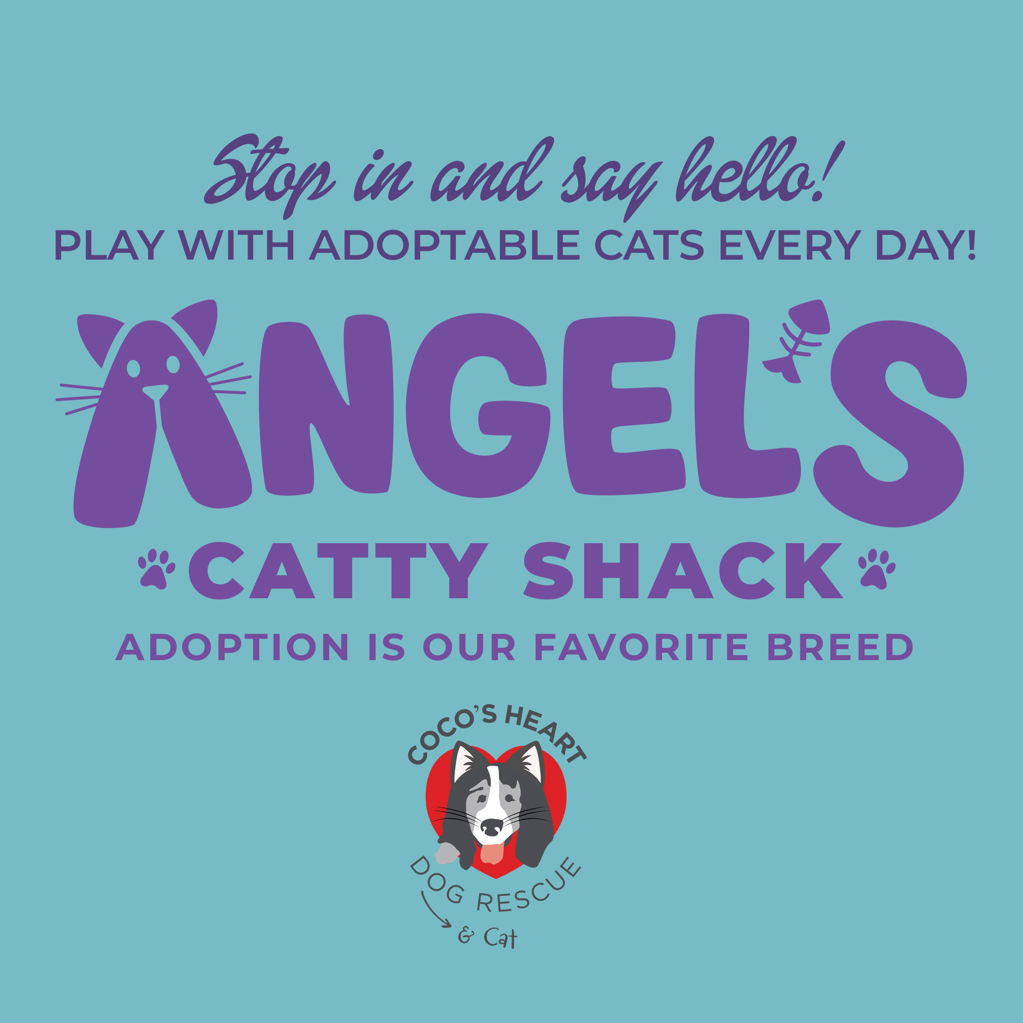 Angels-Catty-Shack