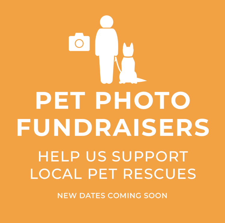 Angels-pet-world-pet-photo-fundraiser