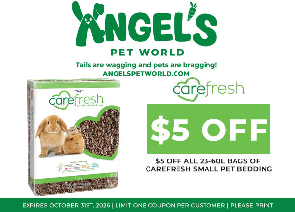CareFresh Small Pet Bedding