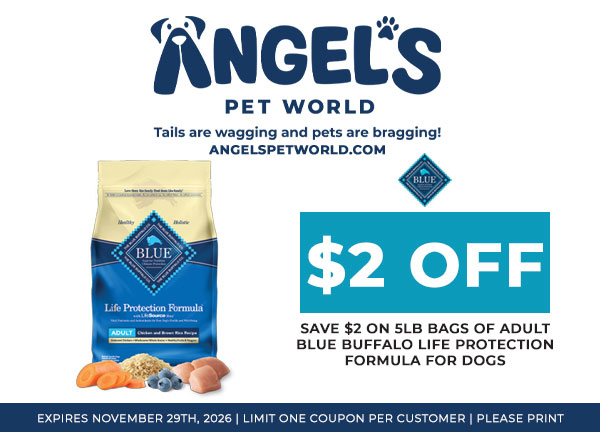 Adult Blue Buffalo Life Protection Formula for Dogs